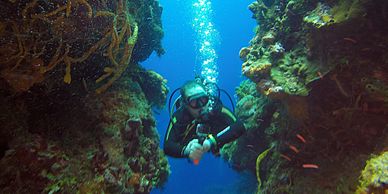 Arrecife de Palancar en Cozumel