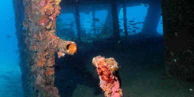 Barco humdido C-58 en Cancun