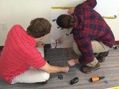 Bloodstain Pattern Analysis