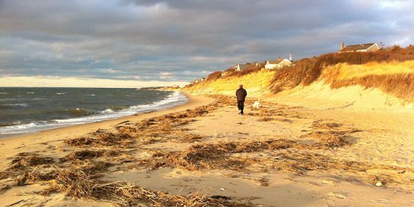 A woman walks her dog on the First Encounter Beach.