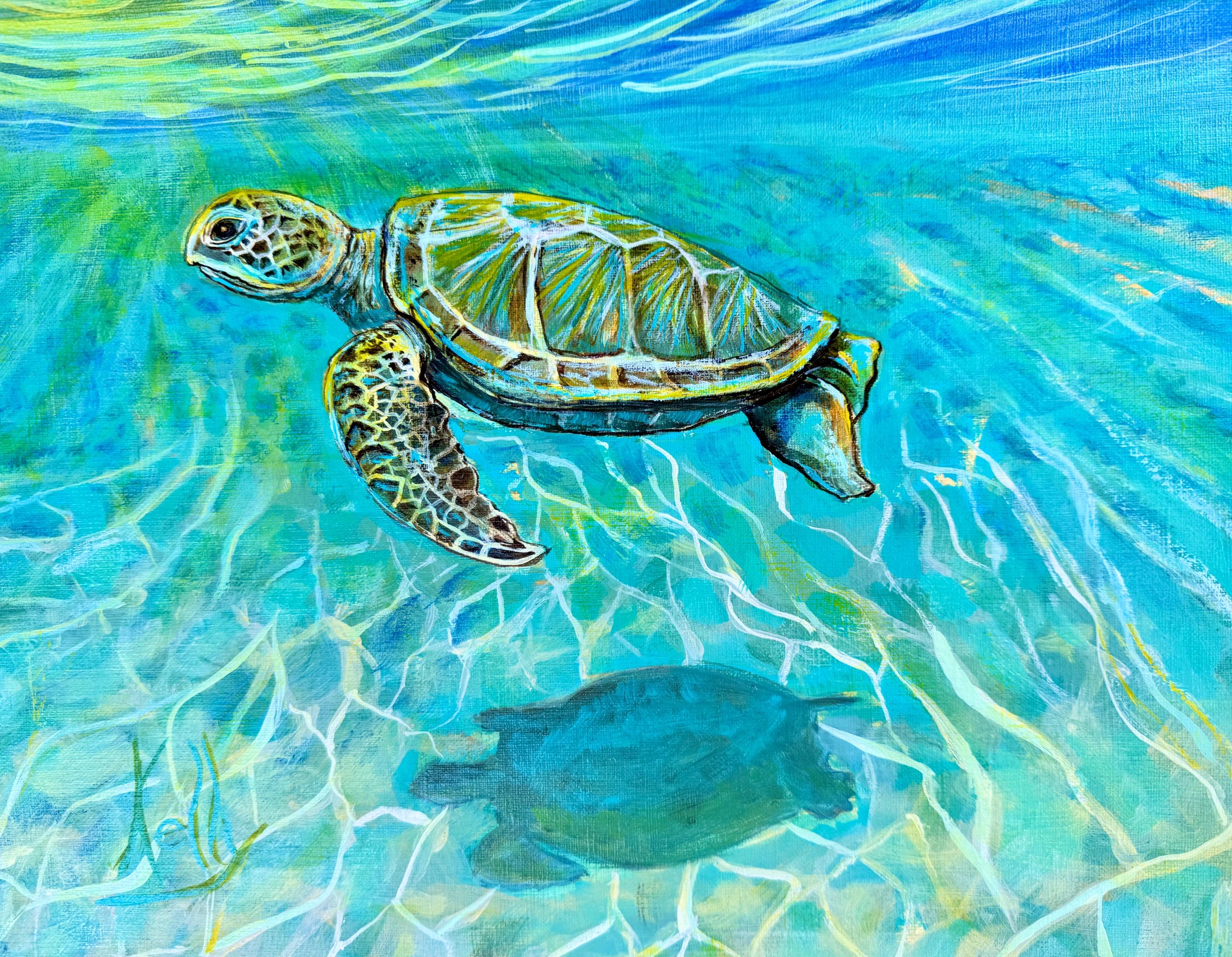 “Me and my Shadow”
Green Turtle from a photo taken at Farmers Cay last year.