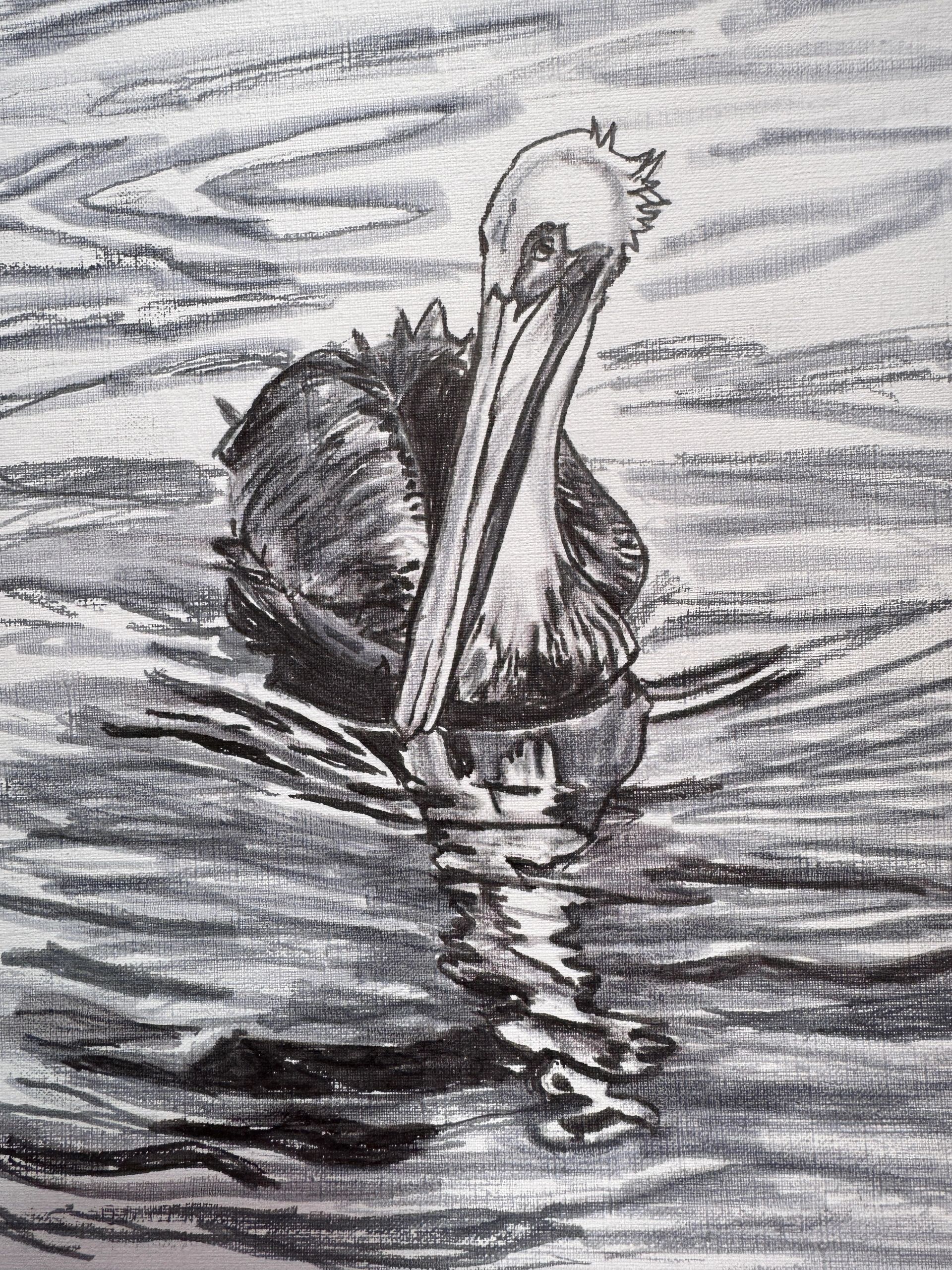 Pelican sketch from my photo ~ Soon to become a painting 