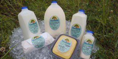 Freshly packaged dairy products Milk Butter Cream herdshare herd share herd-share