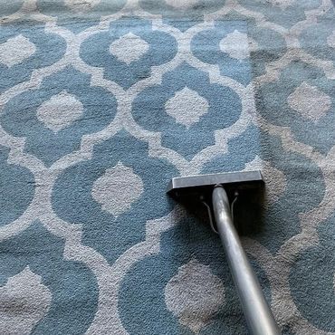 Carpet cleaning in progress showing a distinct clean and dirty area.