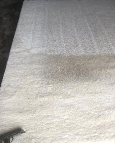 Half-cleaned white carpet showing a clear difference between cleaned and dirty areas.