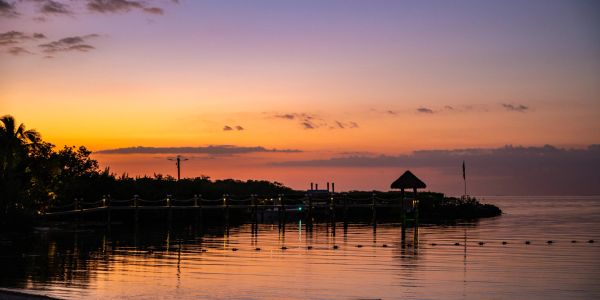 Serene sunset over a calm waterfront with silhouetted pier and foliage.