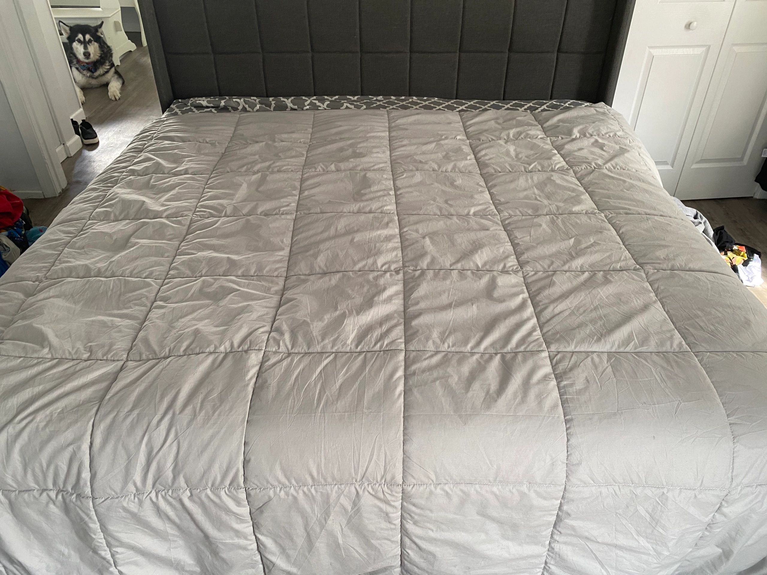One swift swoop and this is how the comforter rested. Small victories. Also our dog looks cute