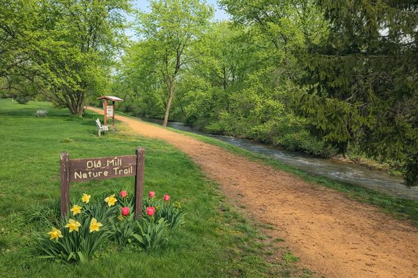 OLD MILL NATURE TRAIL ENTRANCE SIGN WITH GRAVEL NATURE TRAIL NEXT TO A CREEK WITH A LOT OF TREES