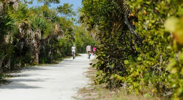 people biking on a trail