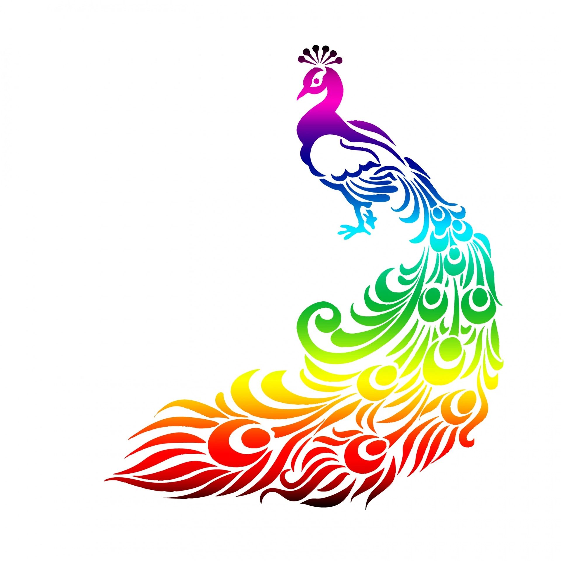 Rainbow peacock gives hope to Ugandan LGBTI+ individuals impacted by Uganda's Anti-Homosexuality Act