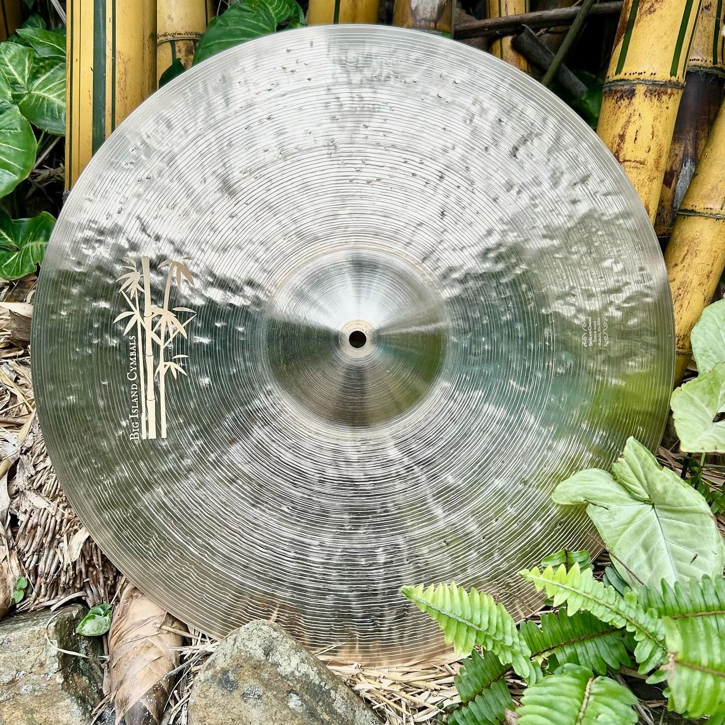 A shiny cymbal resting among plants and bamboo.
