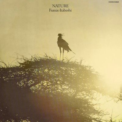 A silhouetted bird perched on a bush against a golden sky.