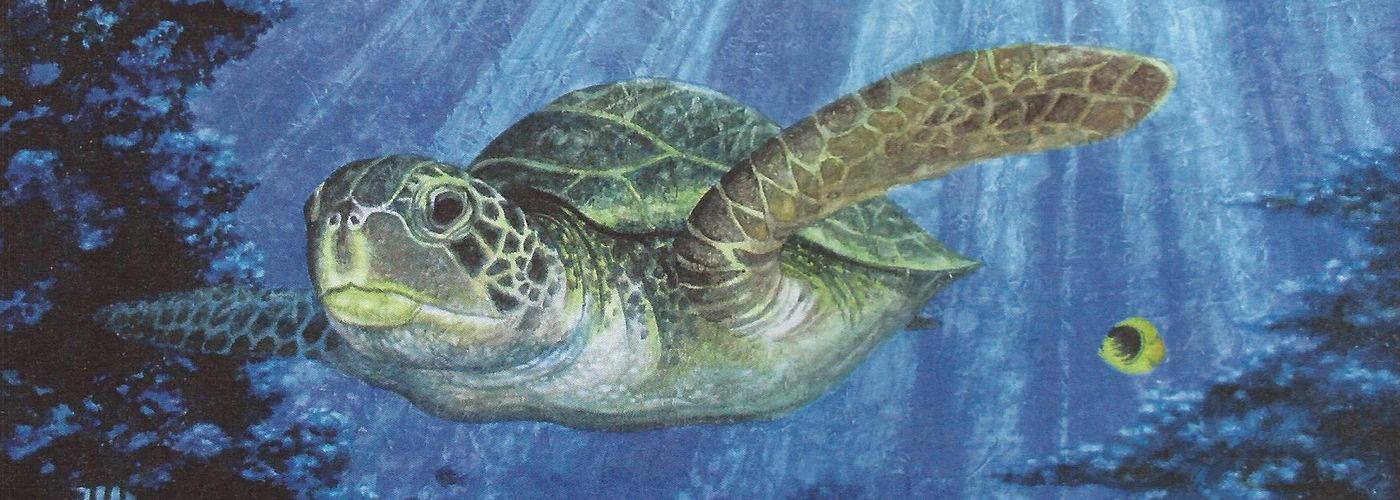 Sea Turtle