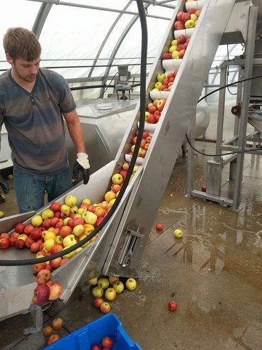 Cider Press