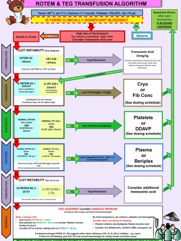 ROTEM & TEG Combined Paediatric Algorithm 2026