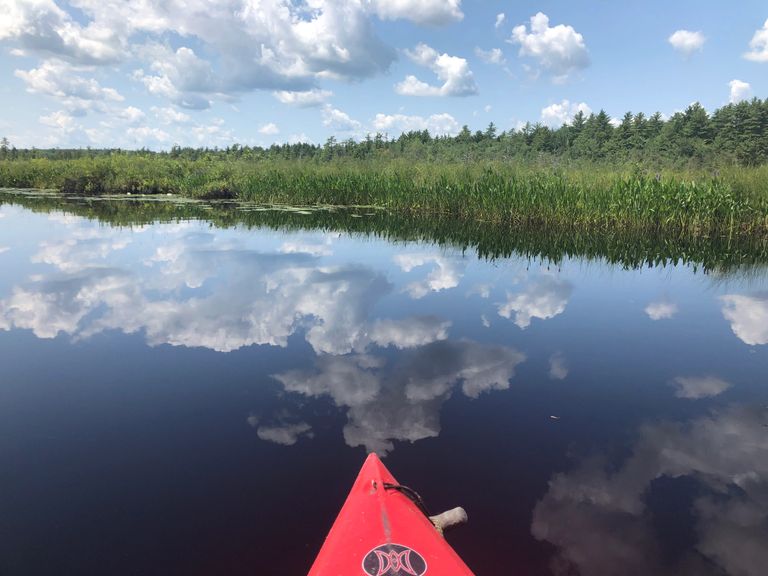 image118