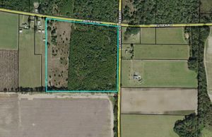 30 Acres+- About 2,300’ road frontage. Liveoak trees, planted pines and an old field. $150,000