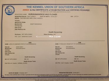 Topanga (Blossom's mom) pedigree.