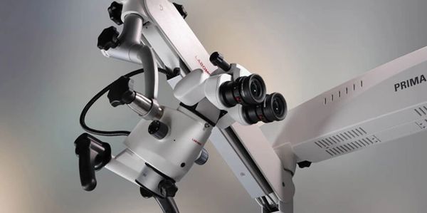 endodontiste microscope