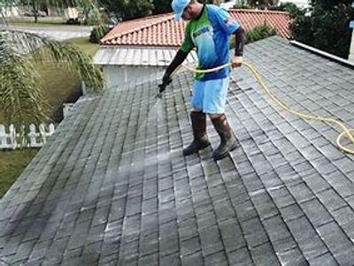Roof Wash