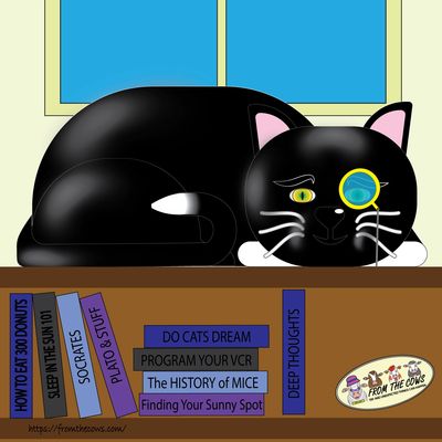 Cartoon black cat with a monocle lying on a bookshelf.