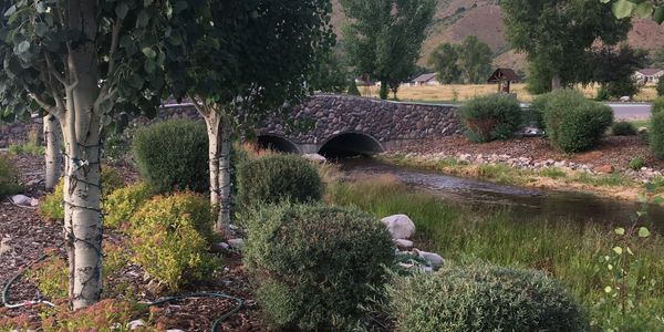 Stream passing through a rock bridge, surrounded by trees and vegetation.