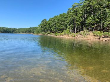 Keeping Arkansas beautiful by offering local weekly trash pick up to Paron, AR and Benton, AR