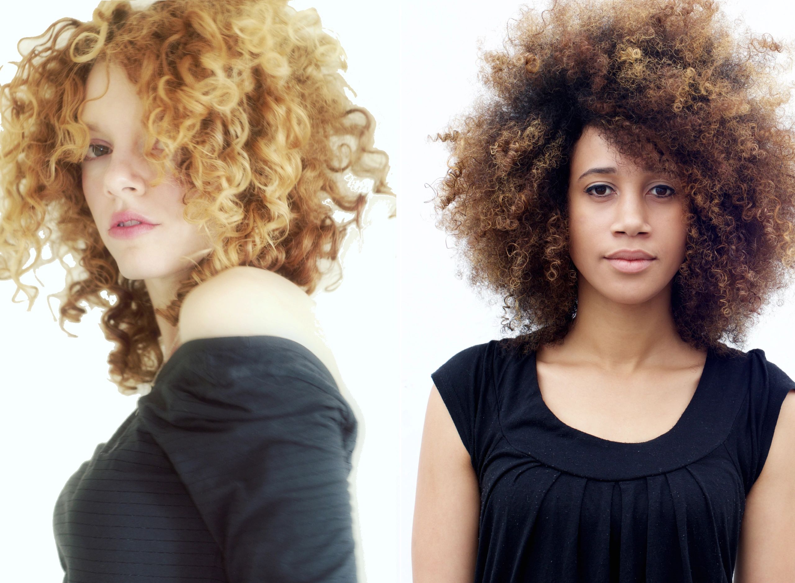 The Curl Sanctuary