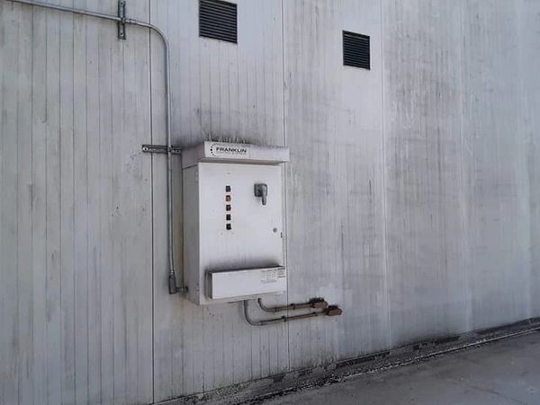 Soybean Plant filthy with all sorts of grime.