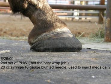perfect hoof wear, hoof cast, hoof repair, hoof wall repair, hoof protection, horseshoe replacement