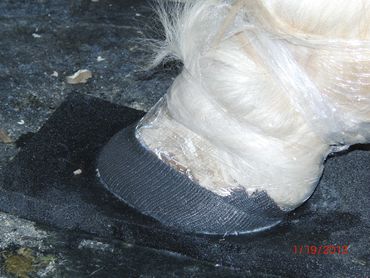 perfect hoof wear, hoof cast, hoof repair, hoof wall repair, hoof protection