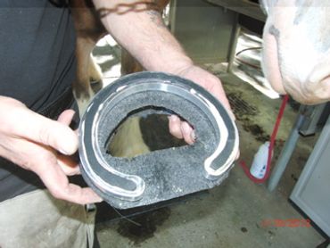 perfect hoof wear, hoof cast, hoof repair, hoof wall repair, hoof protection