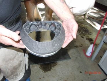 perfect hoof wear, hoof cast, hoof repair, hoof wall repair, hoof protection