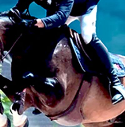 perfect hoof wear, show jumping, hoof protection, alternative to hoof cast