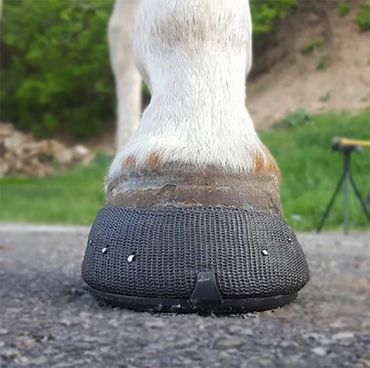 perfect hoof wear, hoof cast, hoof repair, hoof wall repair, hoof protection, horseshoe replacement