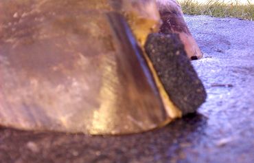 perfect hoof wear, hoof cast, hoof repair, hoof wall repair, hoof protection