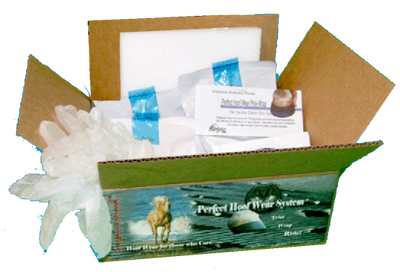 Perfect Hoof Wear Poly Wrap Kit, for laminitis, founder, navicular syndrome, and hoof wall cracks