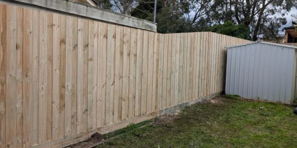 New wooden fence and small metal shed in a backyard.