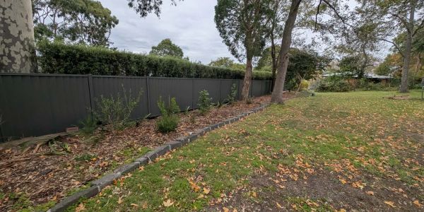 A garden bed with young plants along a tall grey fence under cloudy skies.