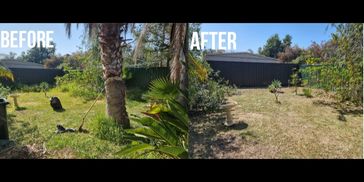 Transforming overgrown spaces into tidy gardens—our clean-up services make a difference!