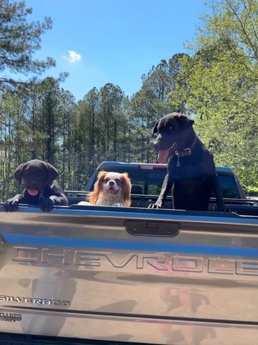 Truck ride for these three.