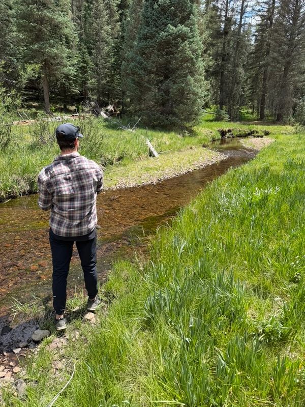 Person fishing by a serene forest creek on a sunny day.
