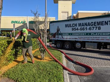 Worker spreads mulch from a hose connected to a Mulch Management truck near a Dollar Tree store.