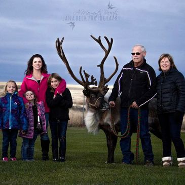 reindeer, reindeer guardians, family photos
