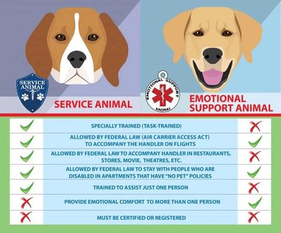 SERVICE ANIMALS VS. EMOTIONAL SUPPORT ANIMALS