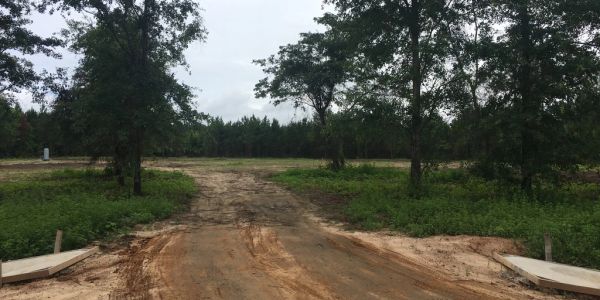 #DRIVEWAY #CLEARING #ACCESS #FORESTRYMULCHING #LANDLEARING