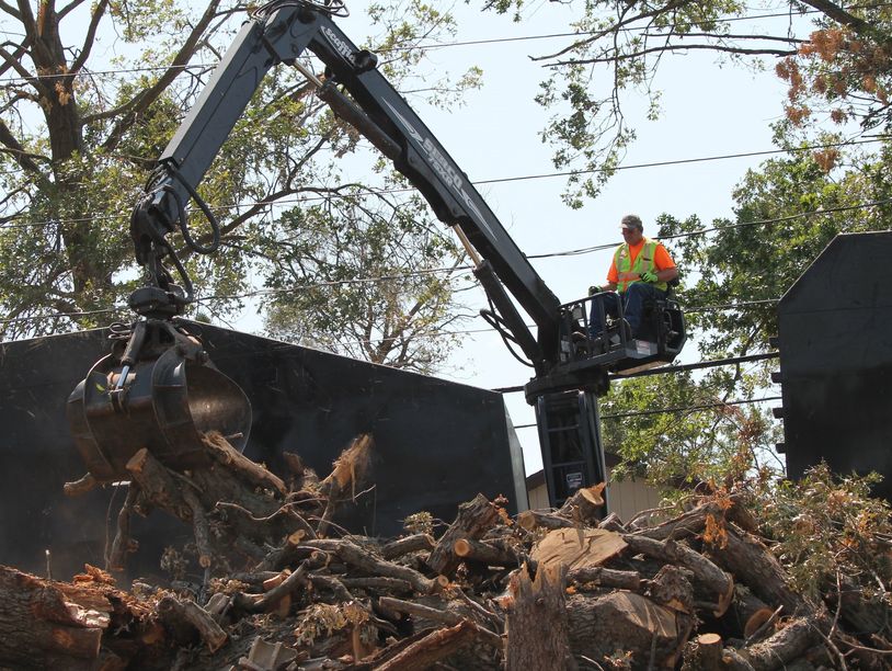 #debrisremoval #stormcleanup #NEARME #GADSDENCOUNTY #LEONCOUNTY #QUINCY #TALLAHASSEE #HAVANA