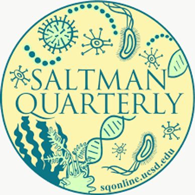 Saltman Quarterly logo