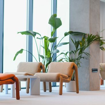Modern lounge with cozy chairs and large green plants by tall windows.