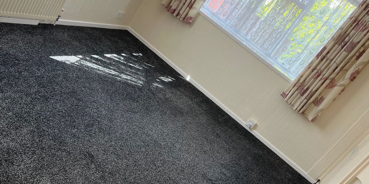 Empty room with dark carpet and window light.